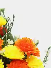 Искусственные цветы "Кустовые гвоздики", двухцветный букет, высота: 37 см, D цветка: 5 см