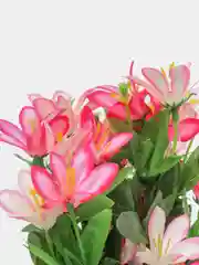 Искусственные цветы. Колокольчики (двухцветный букет). Высота: 35 см. D цветка: до 5 см