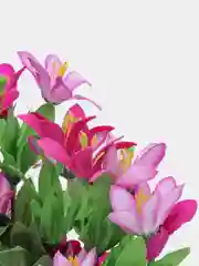 Искусственные цветы. Колокольчики (двухцветный букет). Высота: 35 см. D цветка: до 5 см