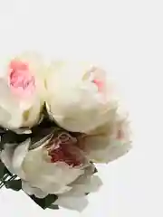 Розовый искусственные цветы, пионы крупные, букет