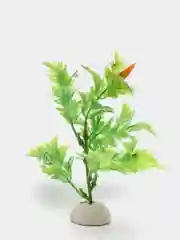 Зеленый искусственные цветы Аквариумные растения