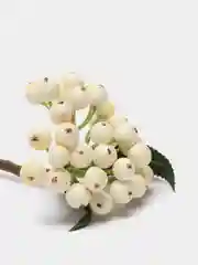 Молочный искусственные цветы "Рябина"