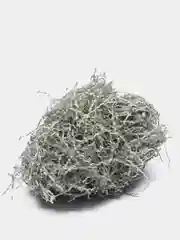 Угольный бумажная стружка - наполнитель для коробок