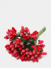 Красный тычинки с сахарными вставками 12 шт