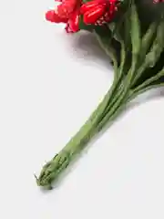 Красный тычинки с сахарными вставками 12 шт