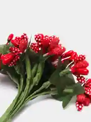 Красный тычинки с сахарными вставками 12 шт