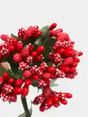Красный тычинки с сахарными вставками 12 шт