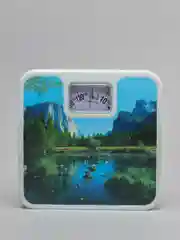 Лесной зеленый весы напольные механические 25*25*5 см