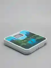 Лесной зеленый весы напольные механические 25*25*5 см