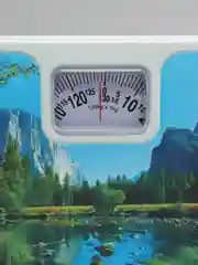 Лесной зеленый весы напольные механические 25*25*5 см