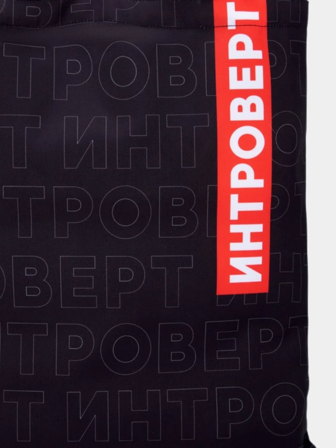 Сумка-шоппер тканевая "Интроверт", для вещей, второй и сменной обуви, бассейна