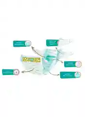 Подгузники Predo baby №2, детские, от 3 до 6 кг, 76 штук