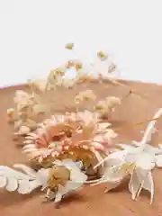 Белый сухоцветы для создания украшений