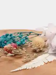 Лесной зеленый сухоцветы для создания украшений