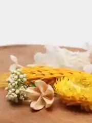 Конфетный сухоцветы для создания украшений