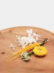 Конфетный сухоцветы для создания украшений