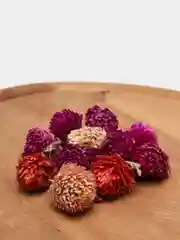 Лайм сухоцветы для создания украшений