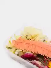 Молочный сухоцветы для создания украшений
