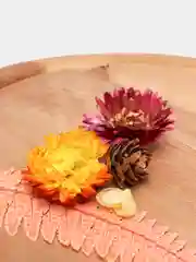 Молочный сухоцветы для создания украшений