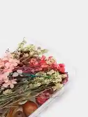 Зеленый сухоцветы для создания украшений