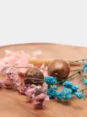 Зеленый сухоцветы для создания украшений