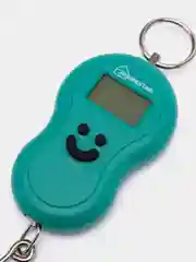 Безмен электронный HOMESTAR HS-3003 50 кг