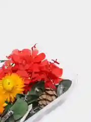 Красный сухоцветы для создания украшений