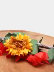 Красный сухоцветы для создания украшений