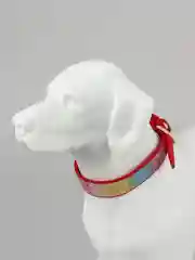 Бордовый ошейник для собак и кошек, со стразами