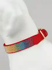 Бордовый ошейник для собак и кошек, со стразами