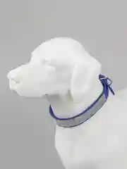 Синий ошейник для собак и кошек, со стразами