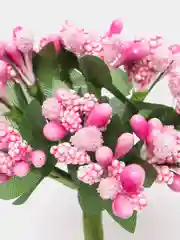 Розовый тычинки с сахарными вставками 12 шт