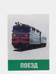 Зеленый обучающие карточки, 16 шт