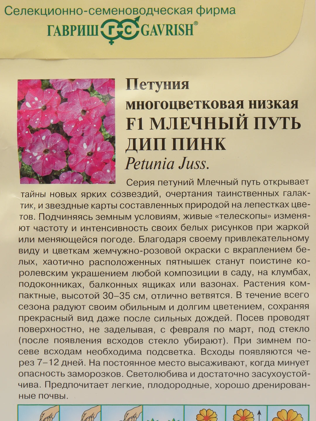 Петуния Млечный путь Дип пинк (семена, цветы)