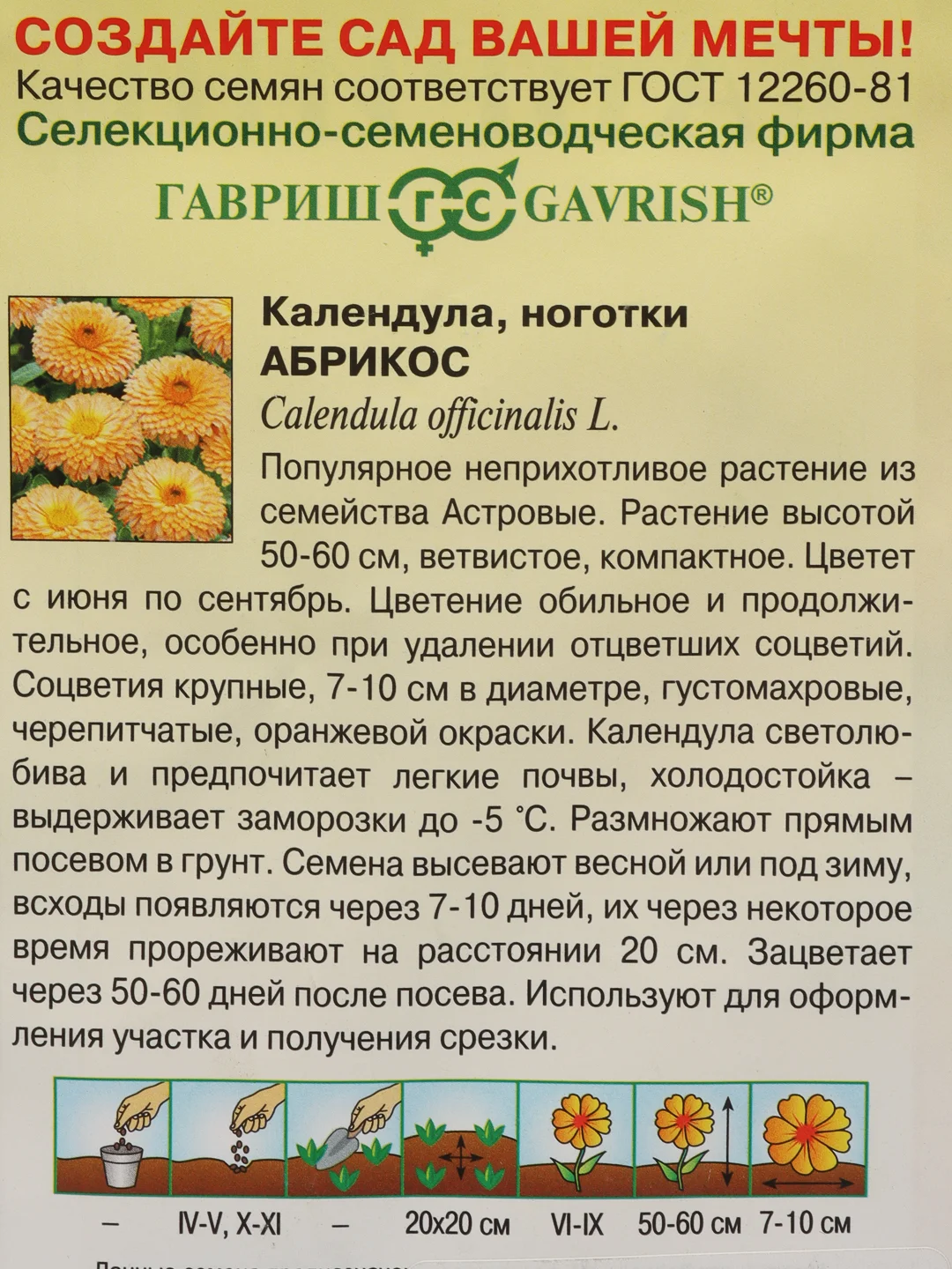 Календула "Абрикос", семена