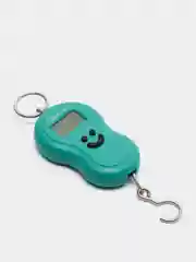 Безмен электронный Homestar HS-3003, зеленый