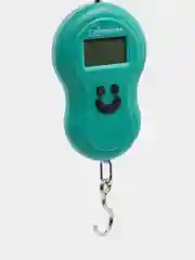Безмен электронный Homestar HS-3003, зеленый