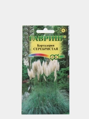 Семена цветы "Кортадерия Серебристая"