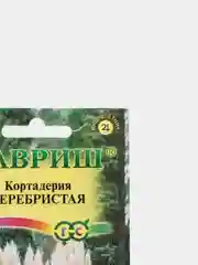 Семена цветы "Кортадерия Серебристая"