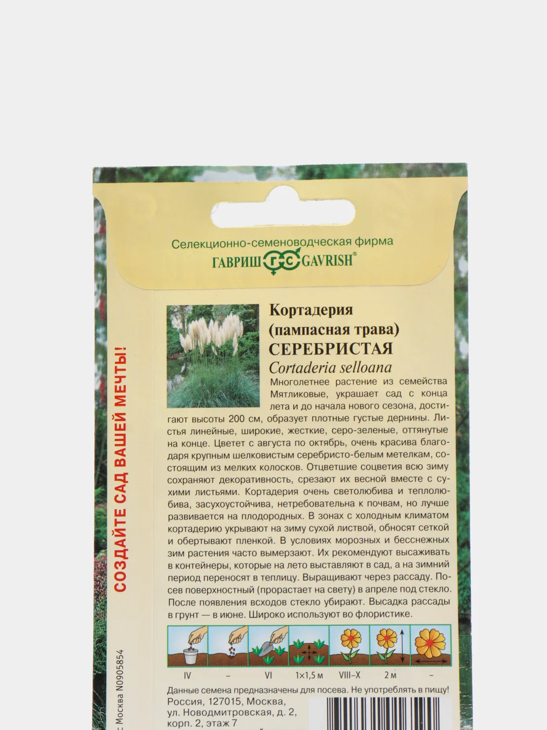 Семена цветы "Кортадерия Серебристая"