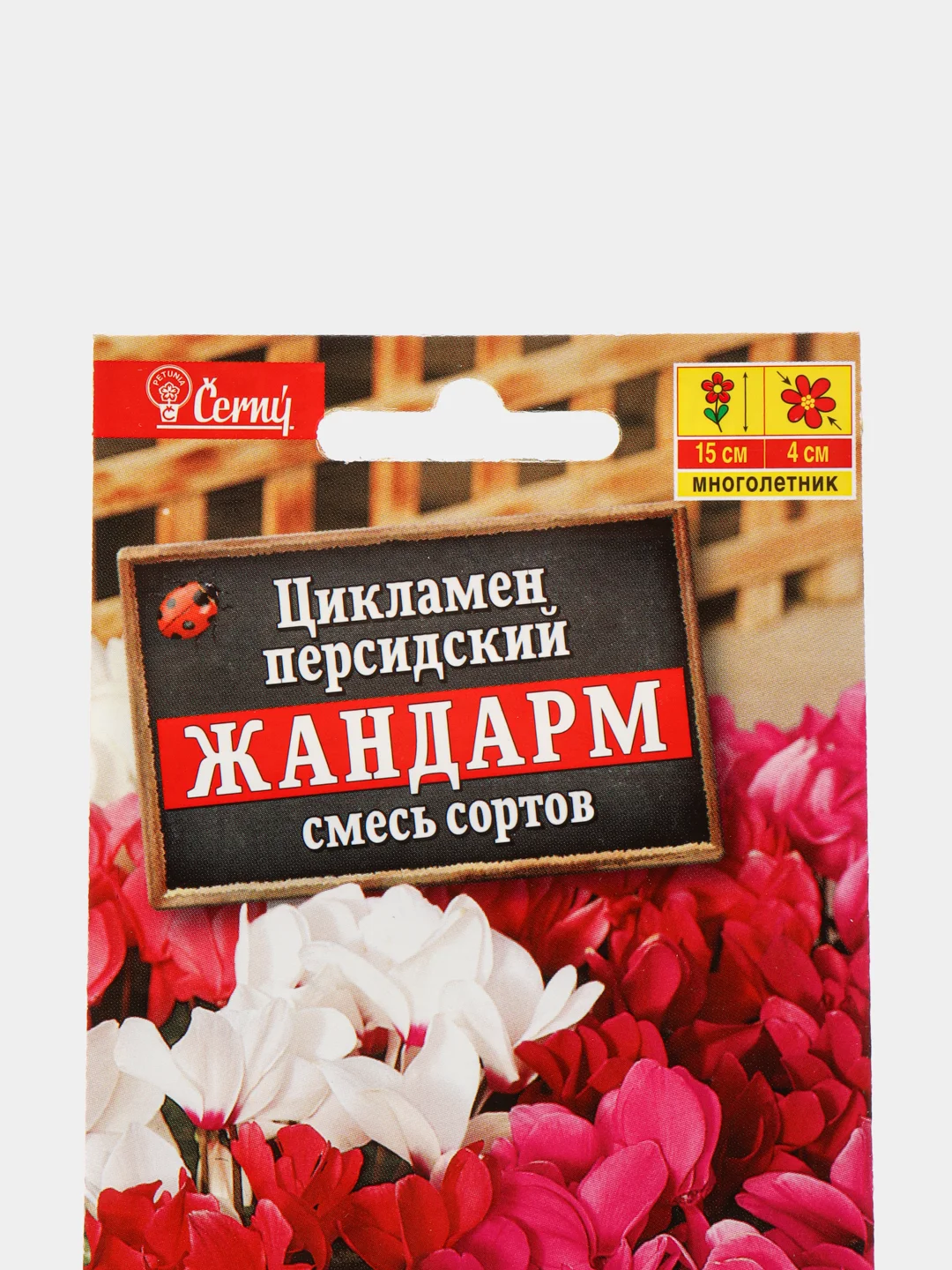 Семена цветы "Цикламен Жандарм"