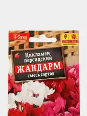Семена цветы "Цикламен Жандарм"