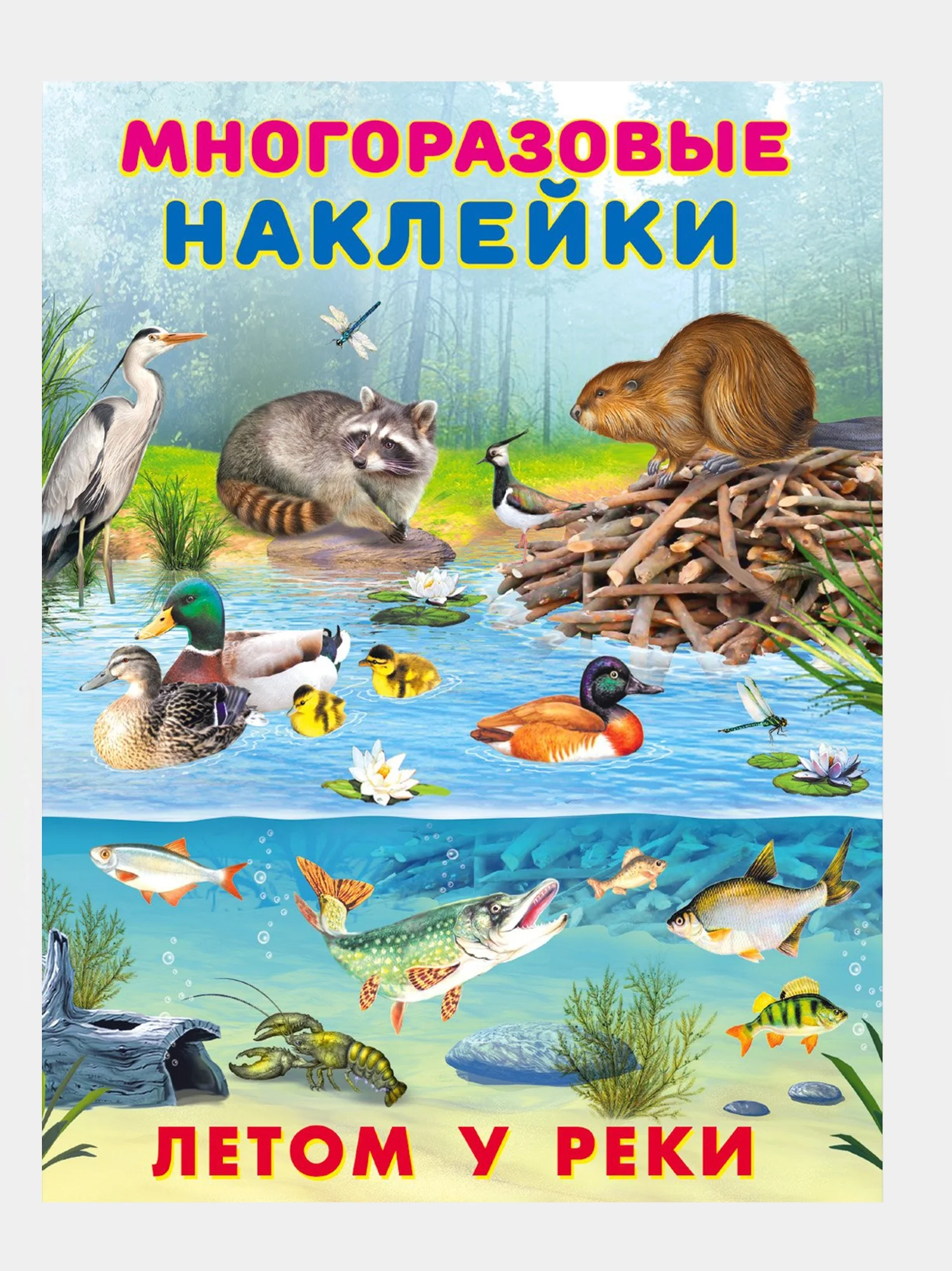 Аметистовый книга с наклейками
