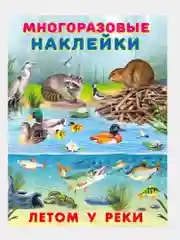 Аметистовый книга с наклейками