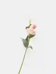 Розовый искусственные цветы Эустома, растения, букет, зелень, декор, в горшке, декоративная, 1 шт