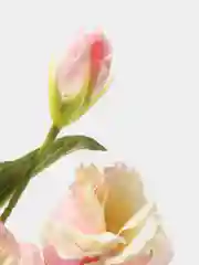 Розовый искусственные цветы Эустома, растения, букет, зелень, декор, в горшке, декоративная, 1 шт