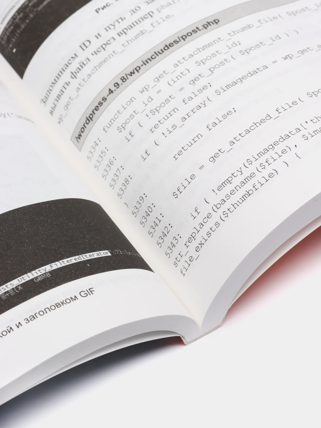 Книга "Атаки на веб и WordPress"