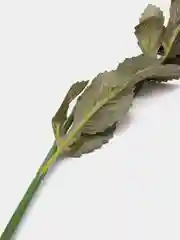 Коралловый меланж искусственные цветы георгины гигант 3 бутона