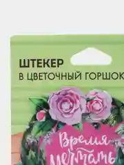 Штекер для горшков "Время мечтать"