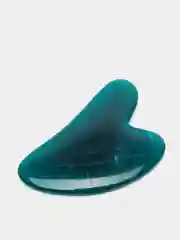 Морской скребок гуаша
